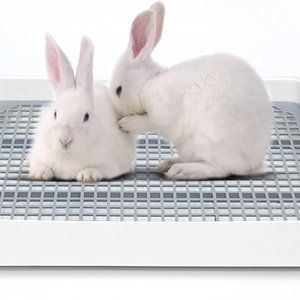 Guinea Pig Litter Pan Bed Cage Guinea Pig Toilet Small Animal Bed Cage New